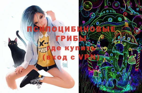 PSILOCYBIN Михайловск