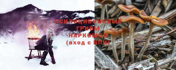 прущая мука Мегион