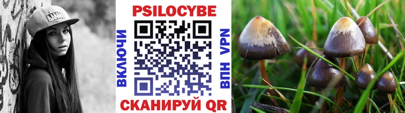 Псилоцибиновые грибы мицелий  где купить наркоту  Партизанск 